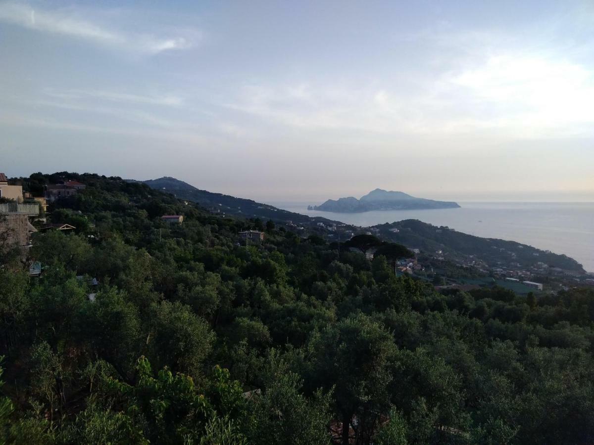 La Vista Sul Golfo Apartment Massa Lubrense Luaran gambar